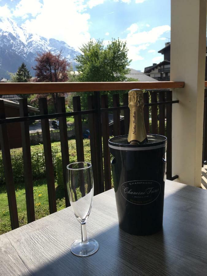 Apartament Z Widokiem Na Mt Blanc Appartement Chamonix Buitenkant foto